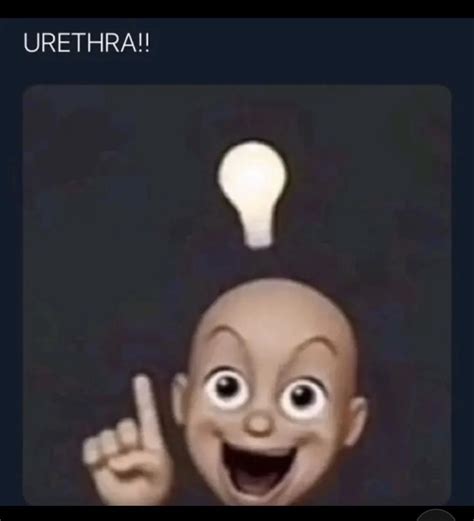 urethra meme|bald head meme.